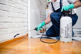 Best Residential Pest Control  in Talpa, NM